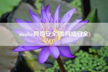 mcafee网络安全(美网络安全)