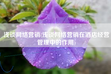 浅谈网络营销(浅谈网络营销在酒店经营管理中的作用)