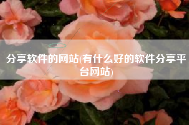 分享软件的网站(有什么好的软件分享平台网站)