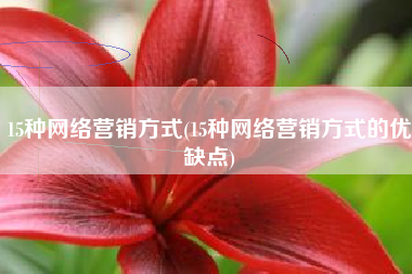 15种网络营销方式(15种网络营销方式的优缺点)