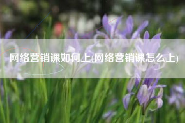 网络营销课如何上(网络营销课怎么上)