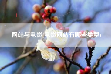 网站与电影(电影网站有哪些类型)