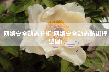 网络安全动态分析(网络安全动态防御模型图)