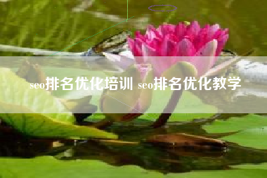 seo排名优化培训 seo排名优化教学