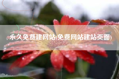 永久免费建网站(免费网站建站页面)