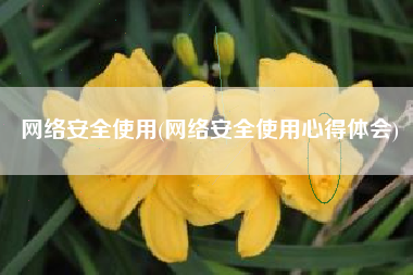 网络安全使用(网络安全使用心得体会)
