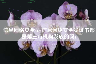 信息网络安全员(信息网络安全员证书都是第三方机构发放的吗)