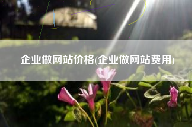 企业做网站价格(企业做网站费用)