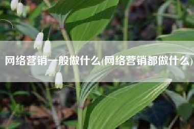 网络营销一般做什么(网络营销都做什么)