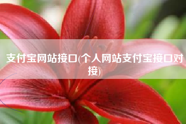 支付宝网站接口(个人网站支付宝接口对接)