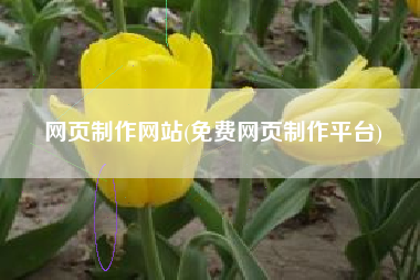 网页制作网站(免费网页制作平台)