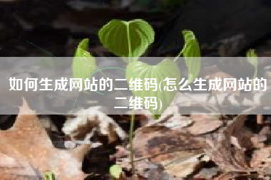 如何生成网站的二维码(怎么生成网站的二维码)