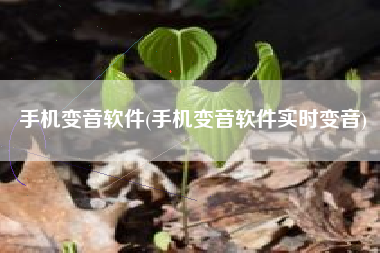 手机变音软件(手机变音软件实时变音)