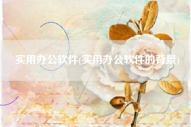 实用办公软件(实用办公软件的背景)