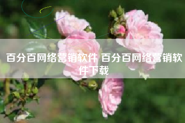 百分百网络营销软件 百分百网络营销软件下载