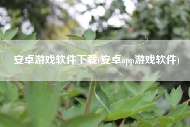 安卓游戏软件下载(安卓app游戏软件)
