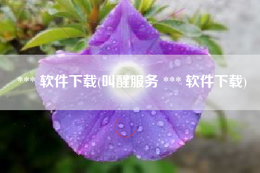 *** 软件下载(叫醒服务 *** 软件下载)