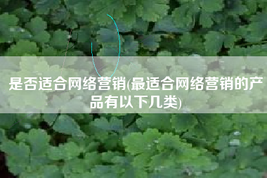 是否适合网络营销(最适合网络营销的产品有以下几类)