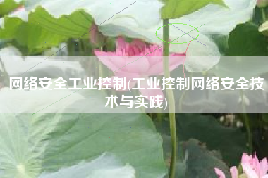 网络安全工业控制(工业控制网络安全技术与实践)