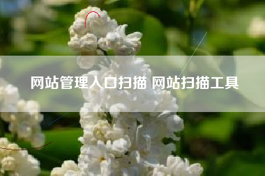 网站管理入口扫描 网站扫描工具