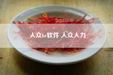 人众hr软件 人众人力