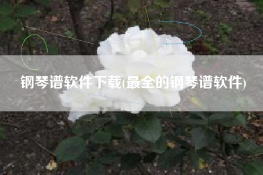 钢琴谱软件下载(最全的钢琴谱软件)