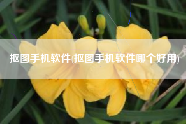 抠图手机软件(抠图手机软件哪个好用)
