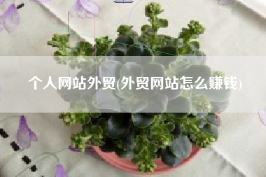个人网站外贸(外贸网站怎么赚钱)