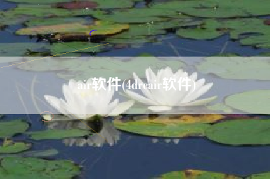 air软件(4drcair软件)