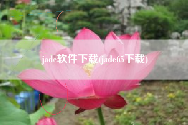 jade软件下载(jade65下载)