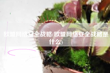 欧盟网络安全战略(欧盟网络安全战略是什么)