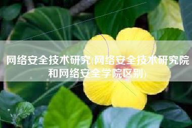 网络安全技术研究(网络安全技术研究院和网络安全学院区别)