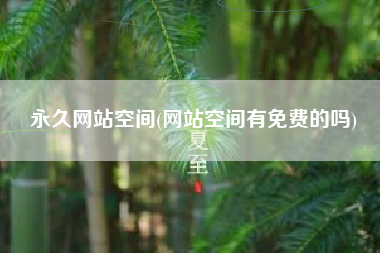 永久网站空间(网站空间有免费的吗)
