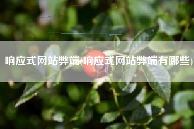 响应式网站弊端(响应式网站弊端有哪些)