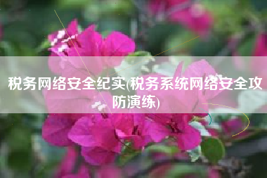 税务网络安全纪实(税务系统网络安全攻防演练)