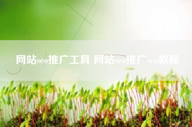 网站seo推广工具 网站seo推广seo教程