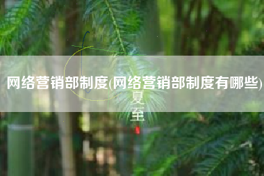 网络营销部制度(网络营销部制度有哪些)