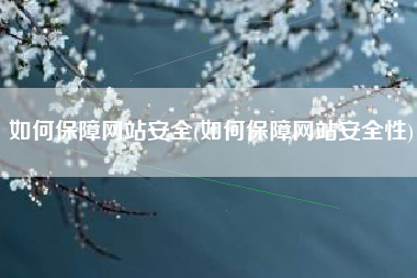 如何保障网站安全(如何保障网站安全性)