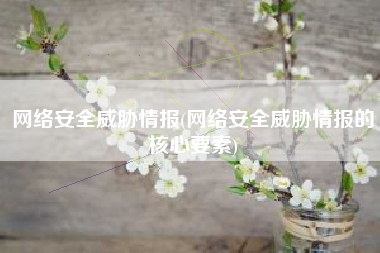 网络安全威胁情报(网络安全威胁情报的核心要素)