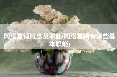 网络营销概念及职能(网络营销有哪些基本职能)