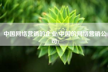 中国网络营销的企业(中国的网络营销公司)