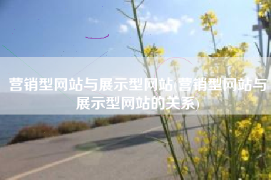 营销型网站与展示型网站(营销型网站与展示型网站的关系)
