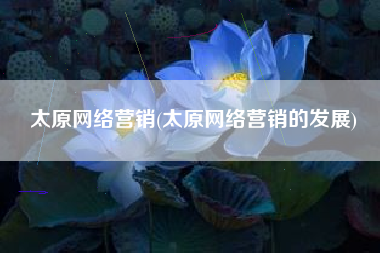 太原网络营销(太原网络营销的发展)