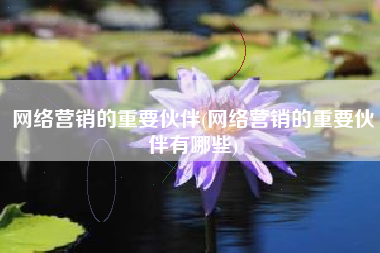 网络营销的重要伙伴(网络营销的重要伙伴有哪些)