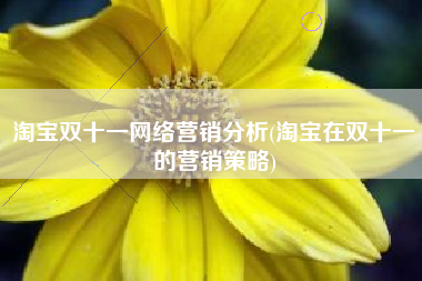 淘宝双十一网络营销分析(淘宝在双十一的营销策略)