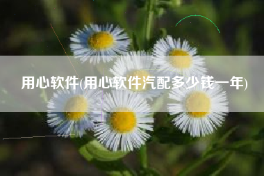 用心软件(用心软件汽配多少钱一年)