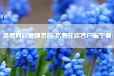 易思网站管理系统(易思在线客户端下载)