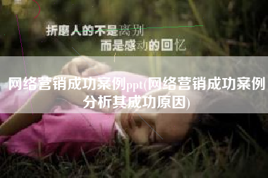 网络营销成功案例ppt(网络营销成功案例分析其成功原因)