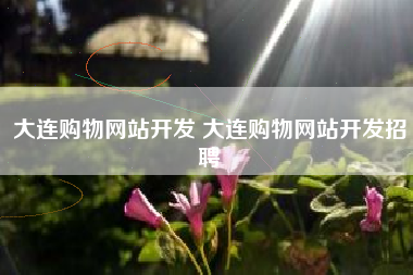 大连购物网站开发 大连购物网站开发招聘