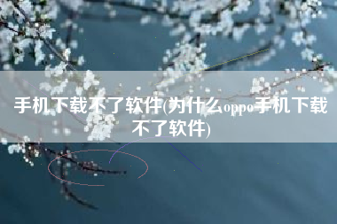 手机下载不了软件(为什么oppo手机下载不了软件)
